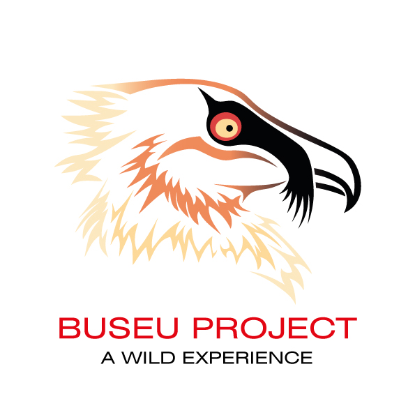 Buseu Project